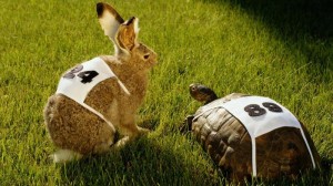 moral-lesson-story-rabbit-turtle-race_cf23adab692f68cc