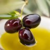 Olive oil and cardiovascular health
