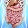 Low FODMAP diet for Irritable Bowel Syndrome