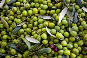 Raw olives